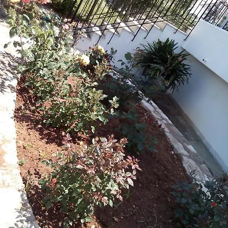 Akrogiali Apartment *