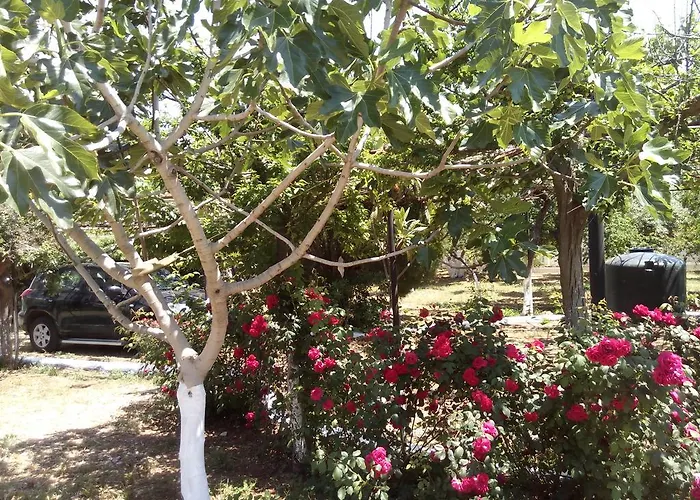 Akrogiali * Kyparissia