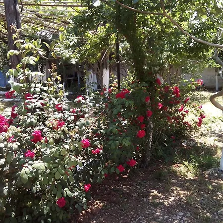 Akrogiali Apartment *