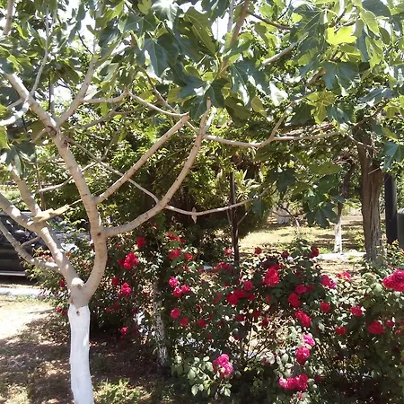 Akrogiali * Kyparissia