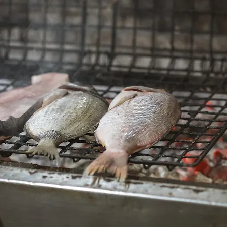 Akrogiali * Kyparissia