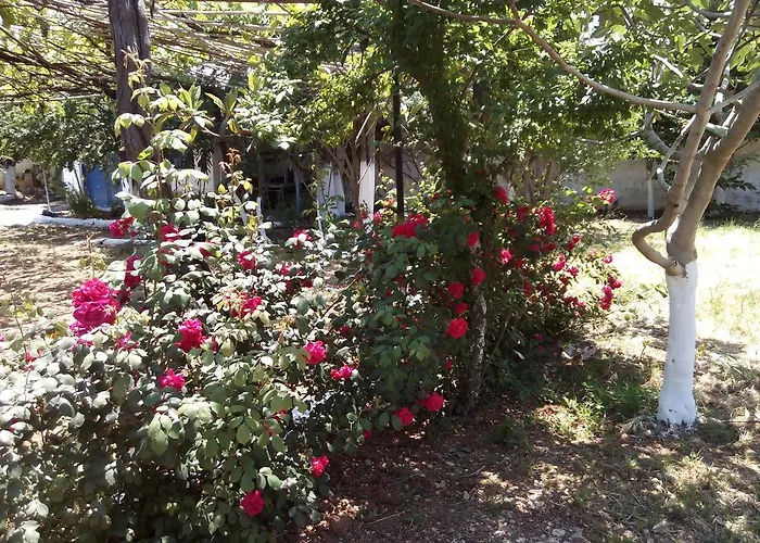 Akrogiali Apartment *